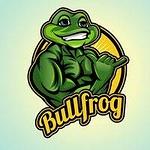 Bullfrog Digital Marketing Agency & Web Design Company logo