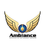 AMBIANCE FLY INSTITUTE logo