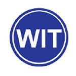 Wit Strategy logo