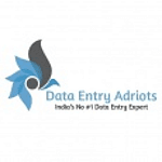 Data Entry Adroits logo