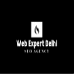 Web Expert Delhi logo