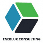 Eneblur Consulting logo