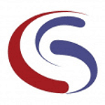 Syntelli Solutions Inc. logo