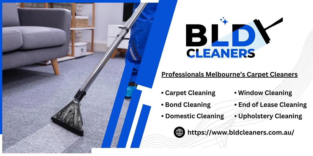 BLD Cleaners cover