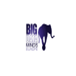 Big Data Minds logo