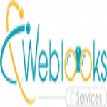 Weblooks IT Services logo