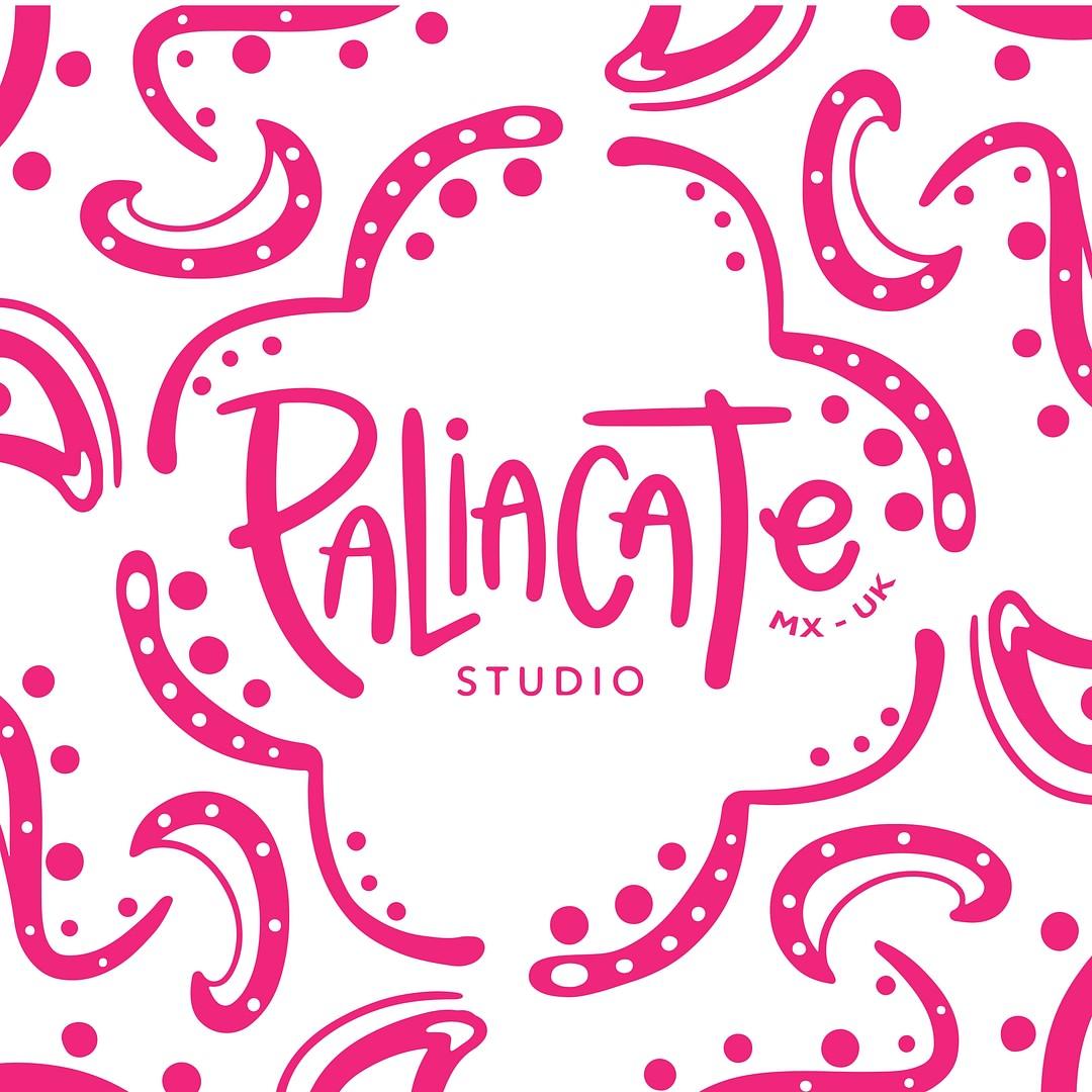 Paliacate Studio cover