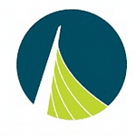 BridgePoint Creative logo