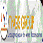 Tingis Group logo