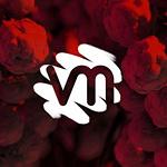 Visual Minds logo