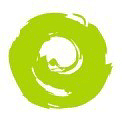 Brands Eye logo