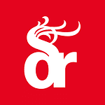 Dragon Rouge Corporate Branding