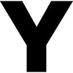 Y type logo