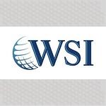 WSI Brazil logo
