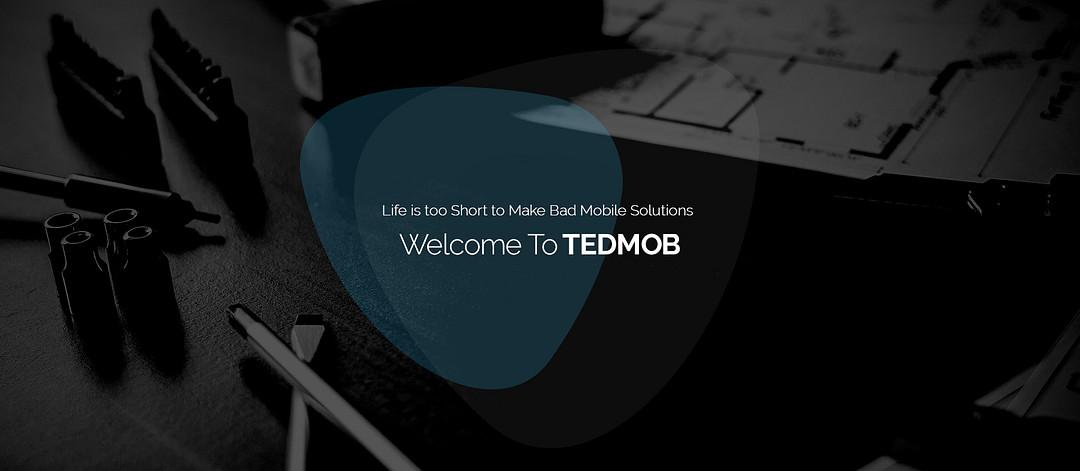 TEDMOB cover