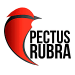 Pectus Rubra logo