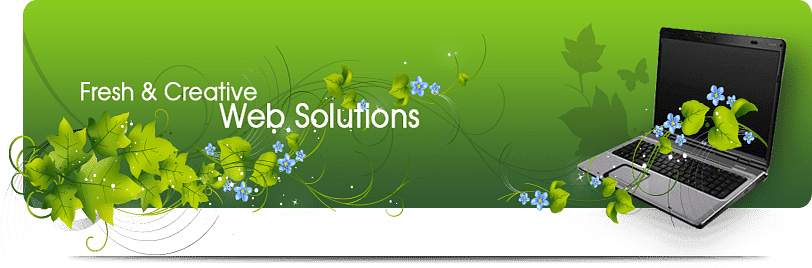 Egypt Web Solutions cover