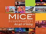 Mice Morocco Dmc since 1978