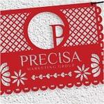 PRECISA MARKETING GROUP logo