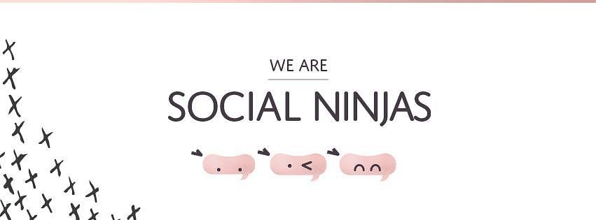 Social Ninjas cover