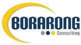Borarong Consulting cover