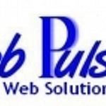 Webpulse Solution Pvt. Ltd. logo