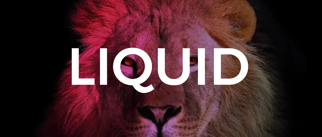 Liquid Brand Strategy and Communications cover