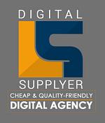 Digital Supplyer logo