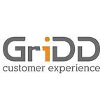 GriDD customer experience