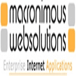 Macronimous Web Solutions logo