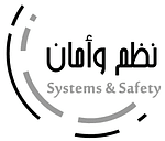 Systems and Safety logo