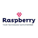 Raspberry IT Services