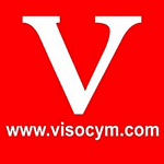 VISO logo