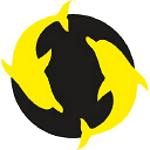Yellow Dolphins Agency logo