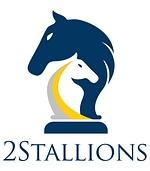 2Stallions Digital Marketing Agency