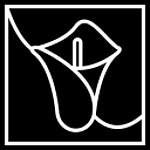 Noya Designs logo