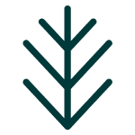 Spruce Creative logo