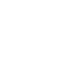 DSolutions Group logo