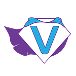 Vivacity Team logo