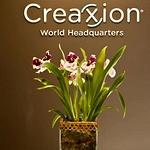 Creaxion logo