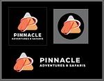 Pinnacle Adventures and Safaris logo