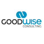 Goodwise Consulting
