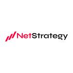 NetStrategy WebAgency logo