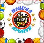 Big USA Sports logo