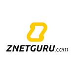 ZNETGURU - CONSULTOR SEO logo