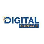 Digital Surface Pvt. Ltd. logo