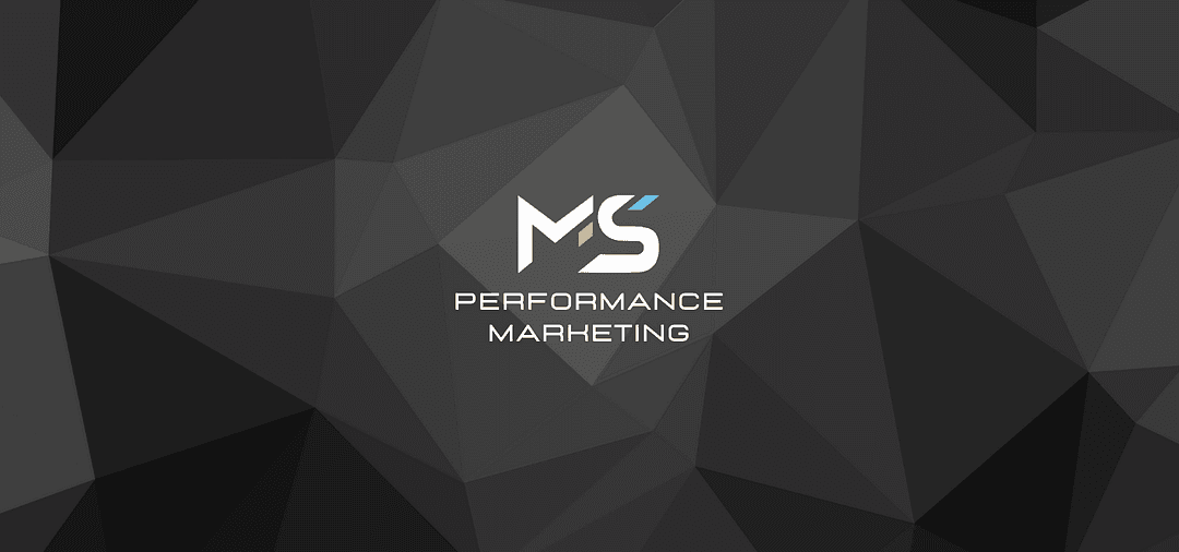 MS Performance Marketing cover