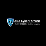 Ana cyber logo