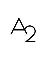 A2 Marketing & Branding Studio logo
