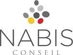 Nabis Conseil logo